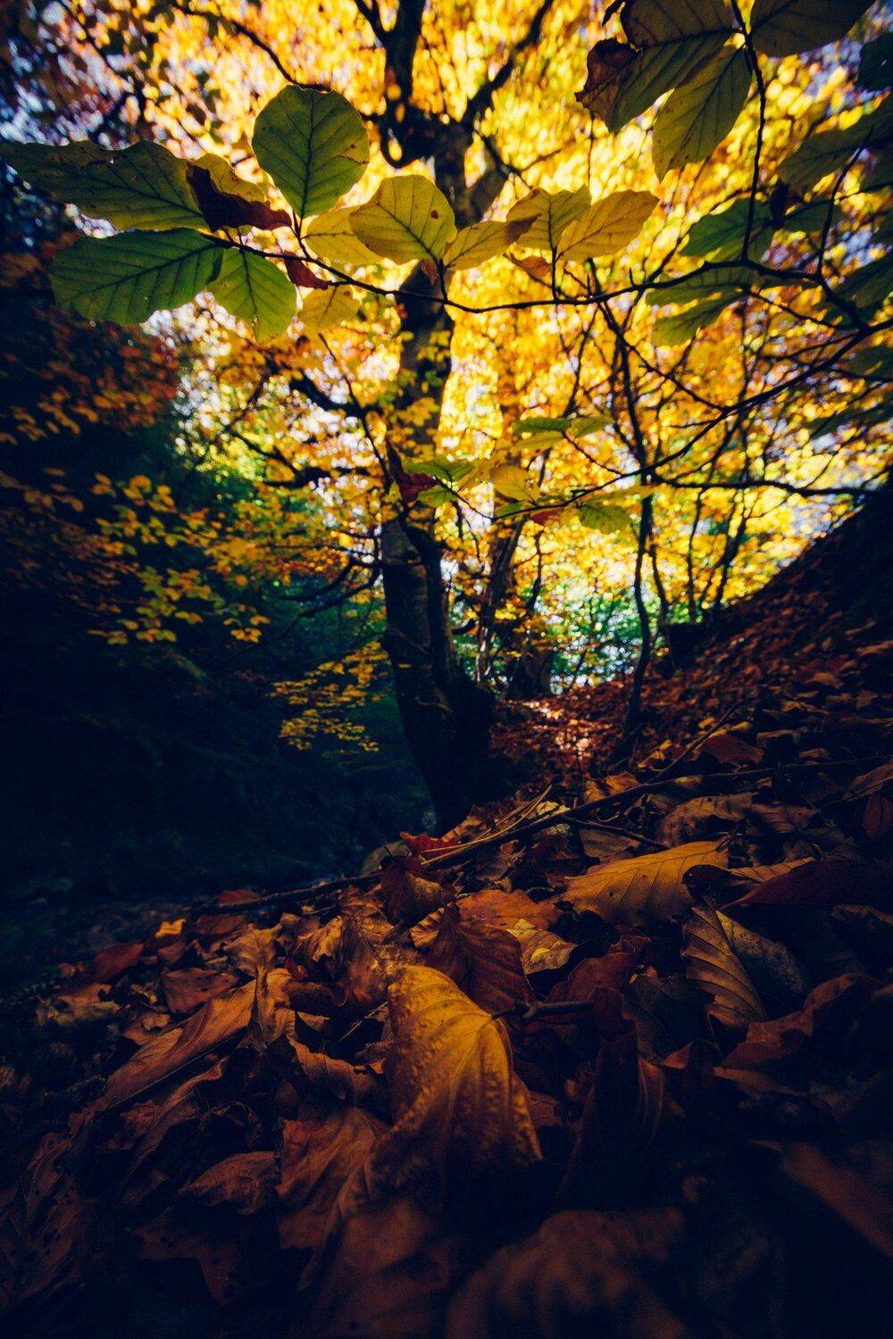 sony a6000,sigma 10-20, Tihomir Petkov