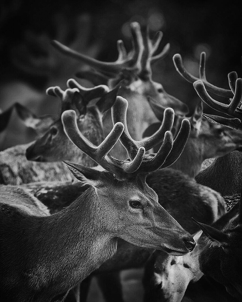 #hosseinmehrzad #myfeatureshoot #friendsinperson #حسین_مهرزاد #theweekoninstagram #everybodystreet #everydayeverywhere #persianlikes #hartcollective #reportagespotlight #uspiran #lensculturetalent #heatercentral #phroommagazine #friendsinperson #streetpho, Hossein Mehrzad