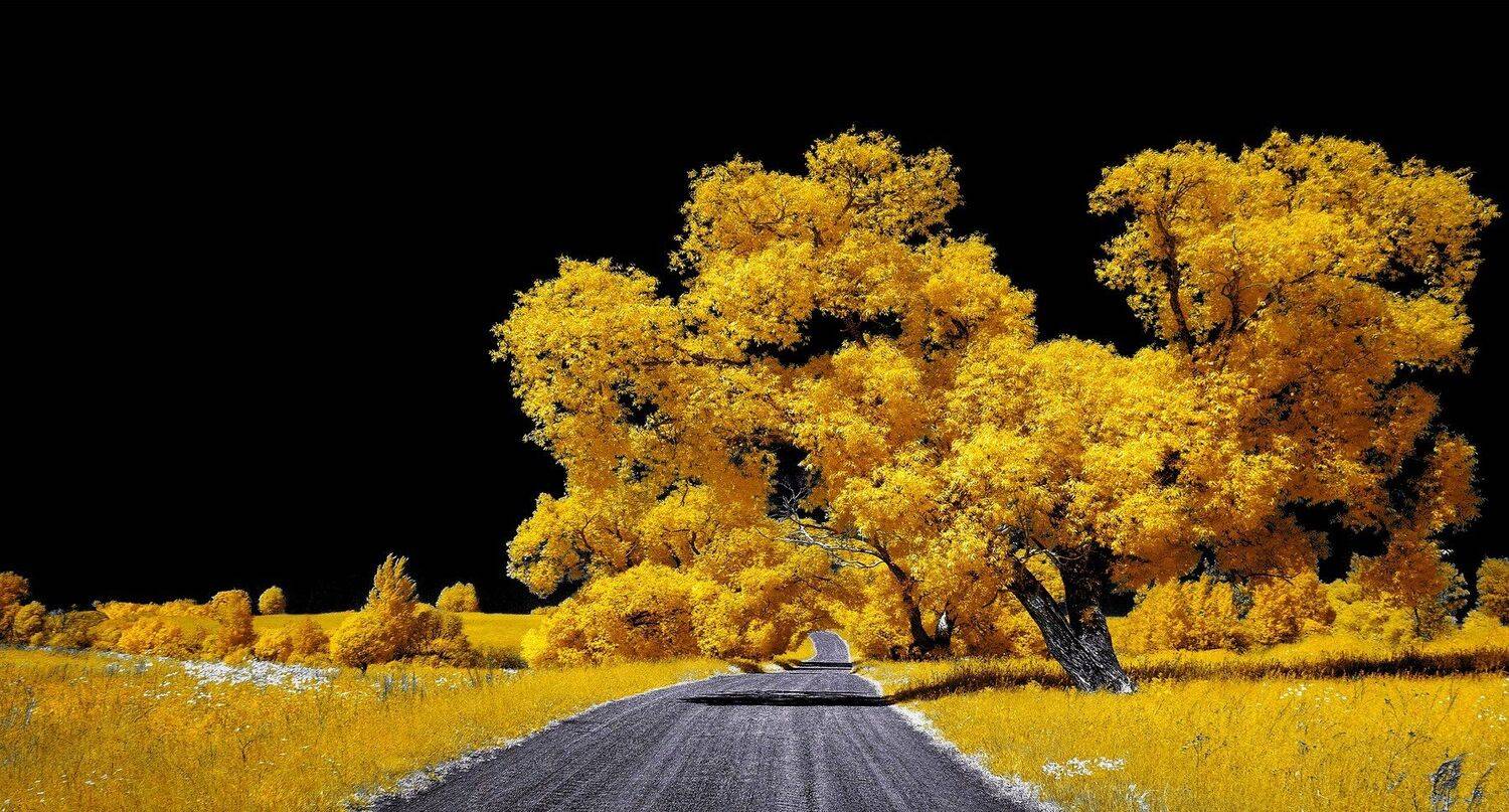 infrared,ик-фото,инфракрасное фото,инфракрасная фотография,пейзаж,природа,беларусь,лето, Sixten ( Сергей )