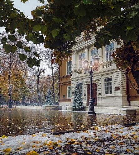 Скваеры и Месгрейвы