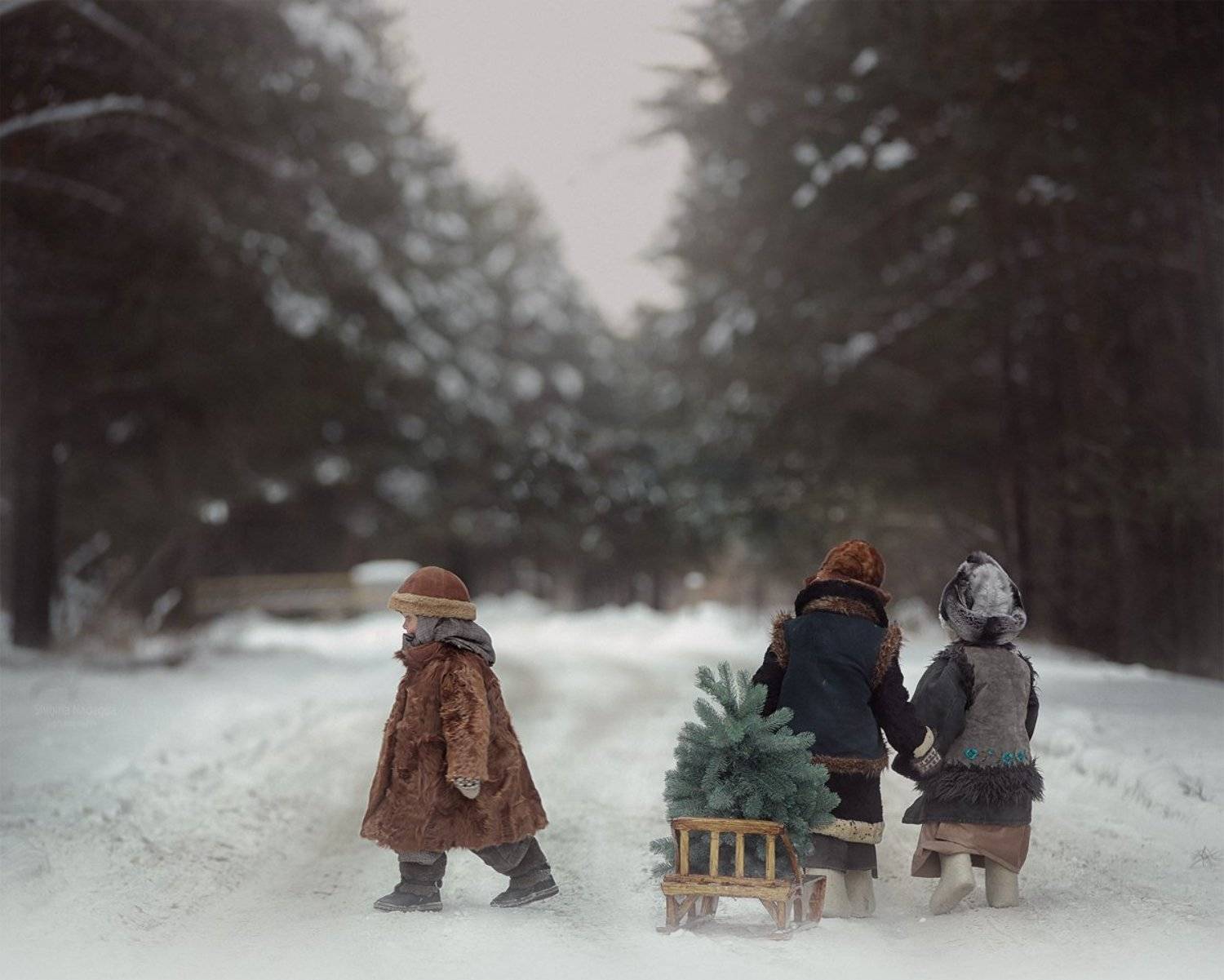 надежда шибина, nadima