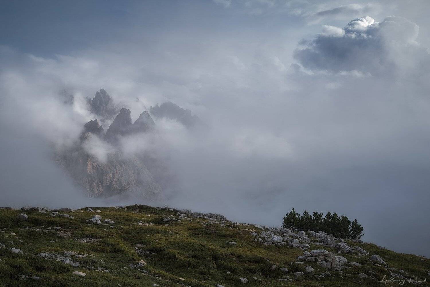 alps, beauty, blue, bush, chalk stone, cliffs, clouds, cumulus, dolomites, dwarf pine, fog, foggy, grass, green, hiking, hill, italy, klimbing, mountain meadow, mountain pine, mountain top, mountaineers, mountains, nature, outdoors, revelation, rocks, sce, Ludwig Riml