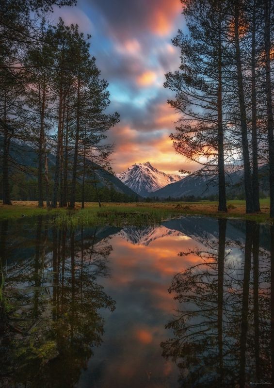 *** фото превью