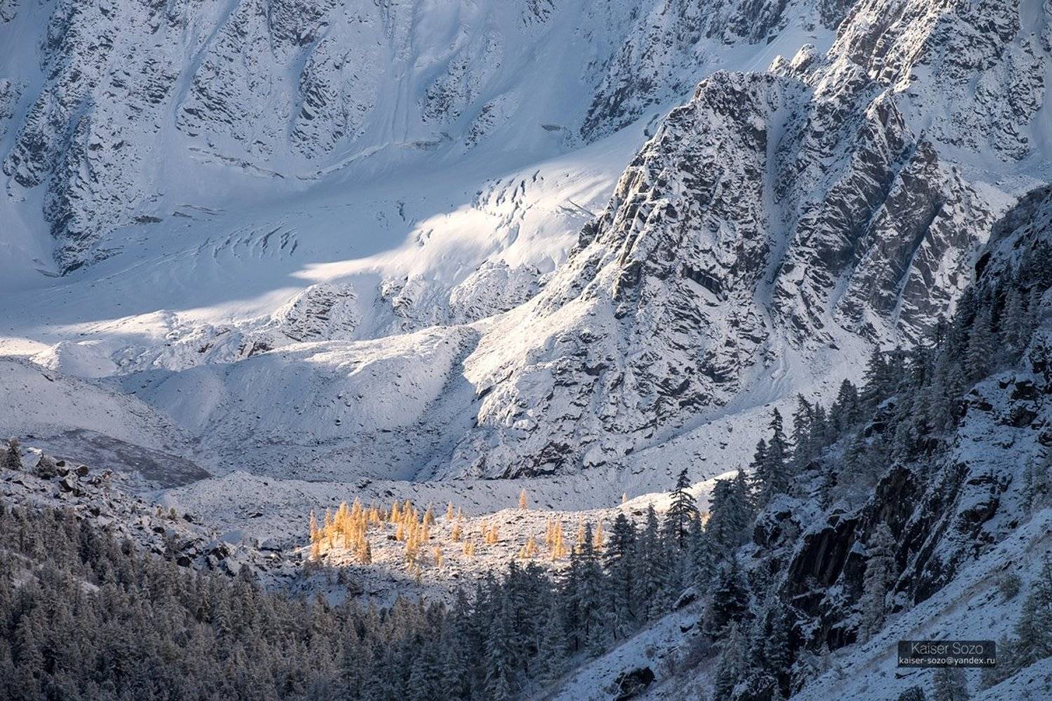 россия, алтай, горный алтай, шавла, шавлинские озера, ледник зелинского, золотая осень, лиственницы, ледник, снег, kaiser sozo, Kaiser Sozo