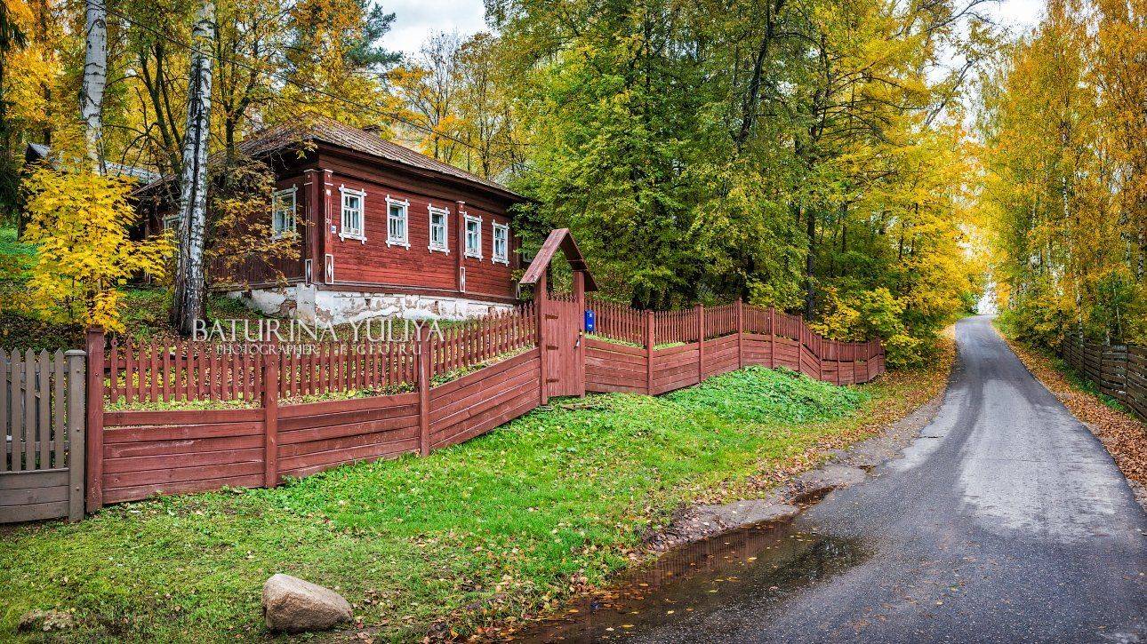 россия, плес, плёс, дом, дорога, осень, Юлия Батурина