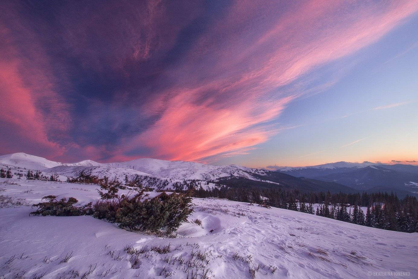 , Екатерина Ионенко