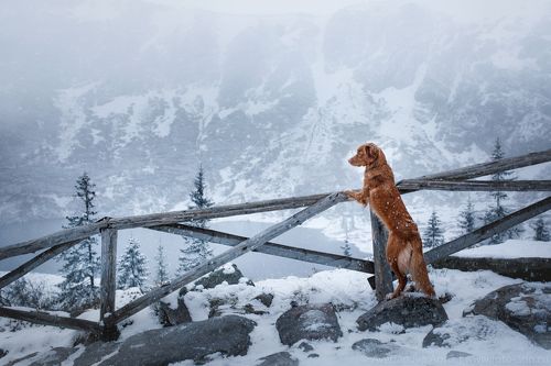 Зима в горах