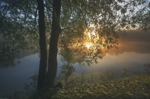 / Подмосковное утро /