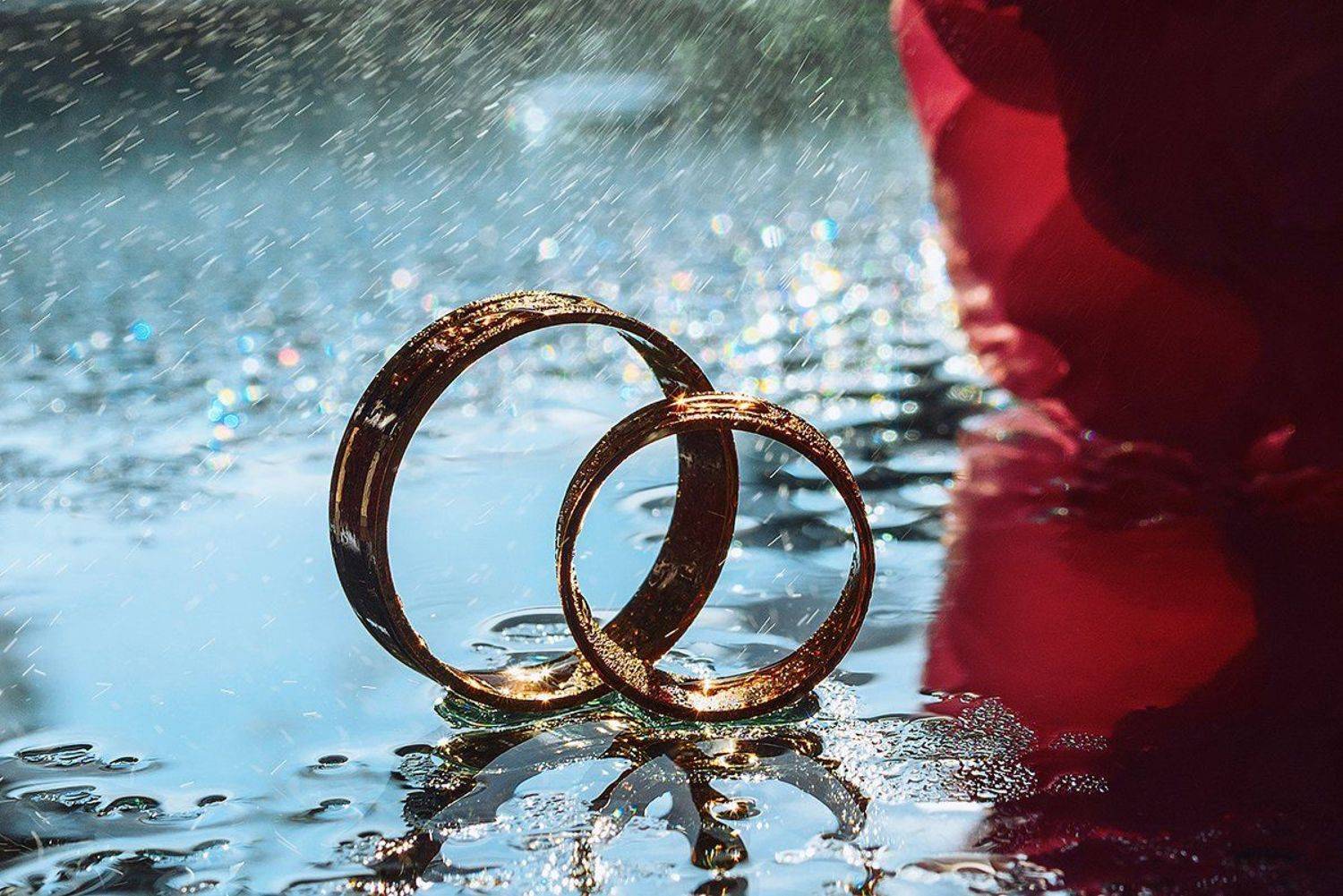 , MVO (Марк Орлов)