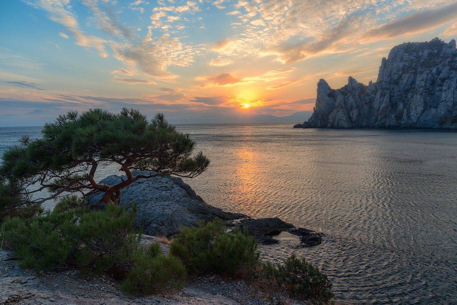 , Сергей Брагин