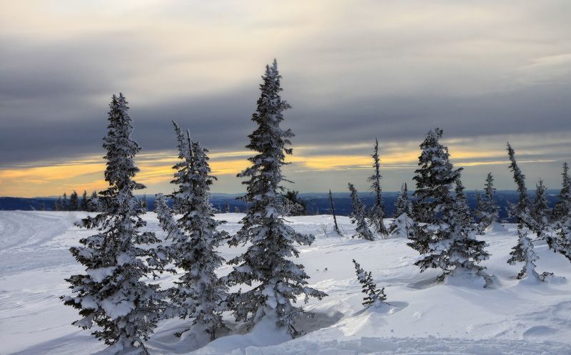 Горная Шория фото превью