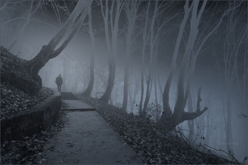 Mystic 5