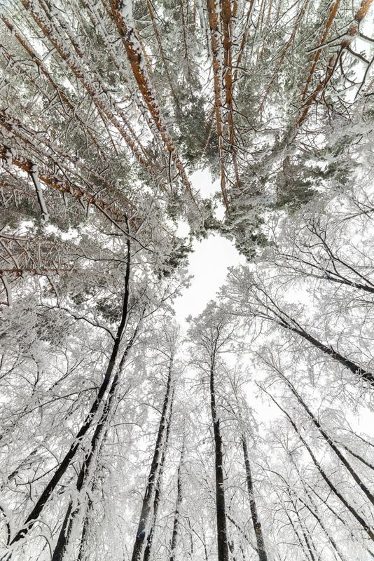 Vertigo фото превью