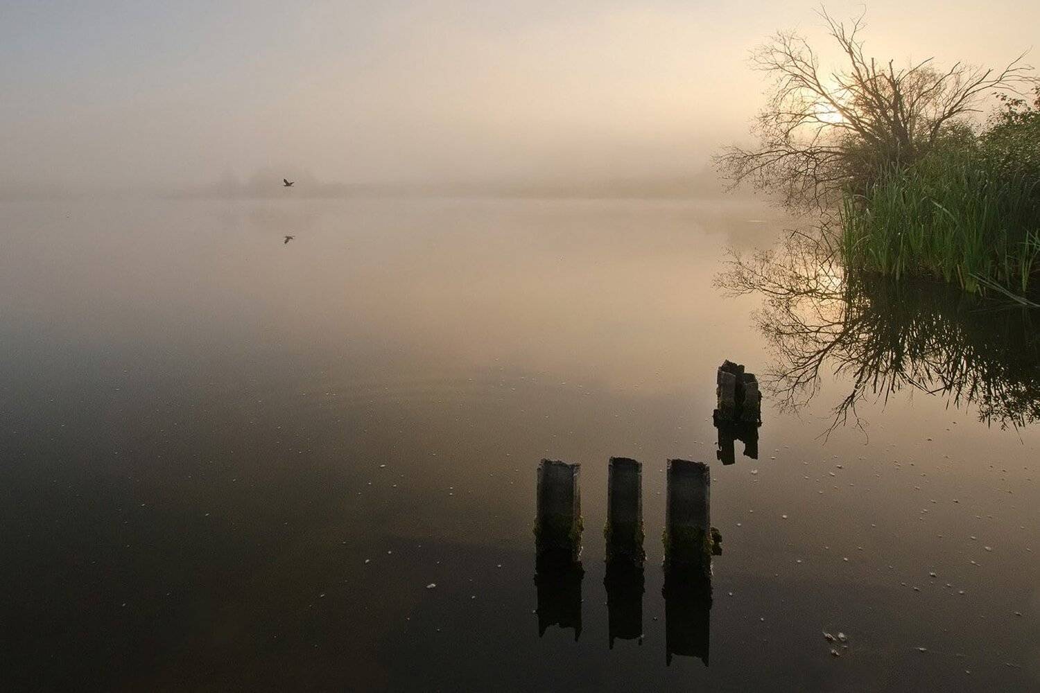 , Михаил Агеев