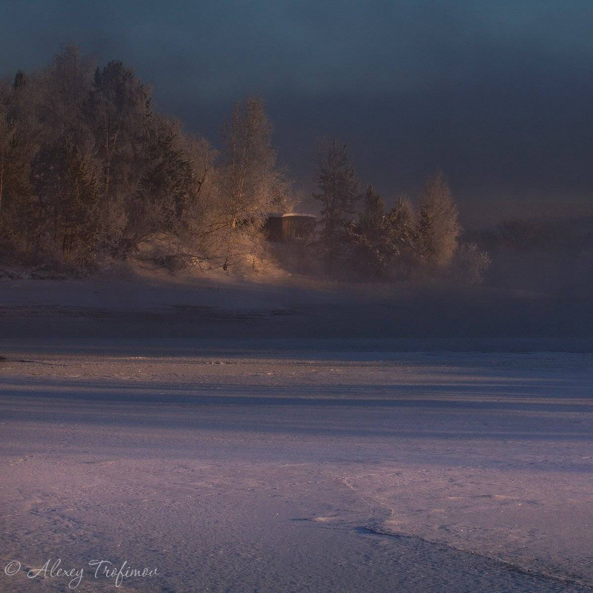 , Алексей Трофимов