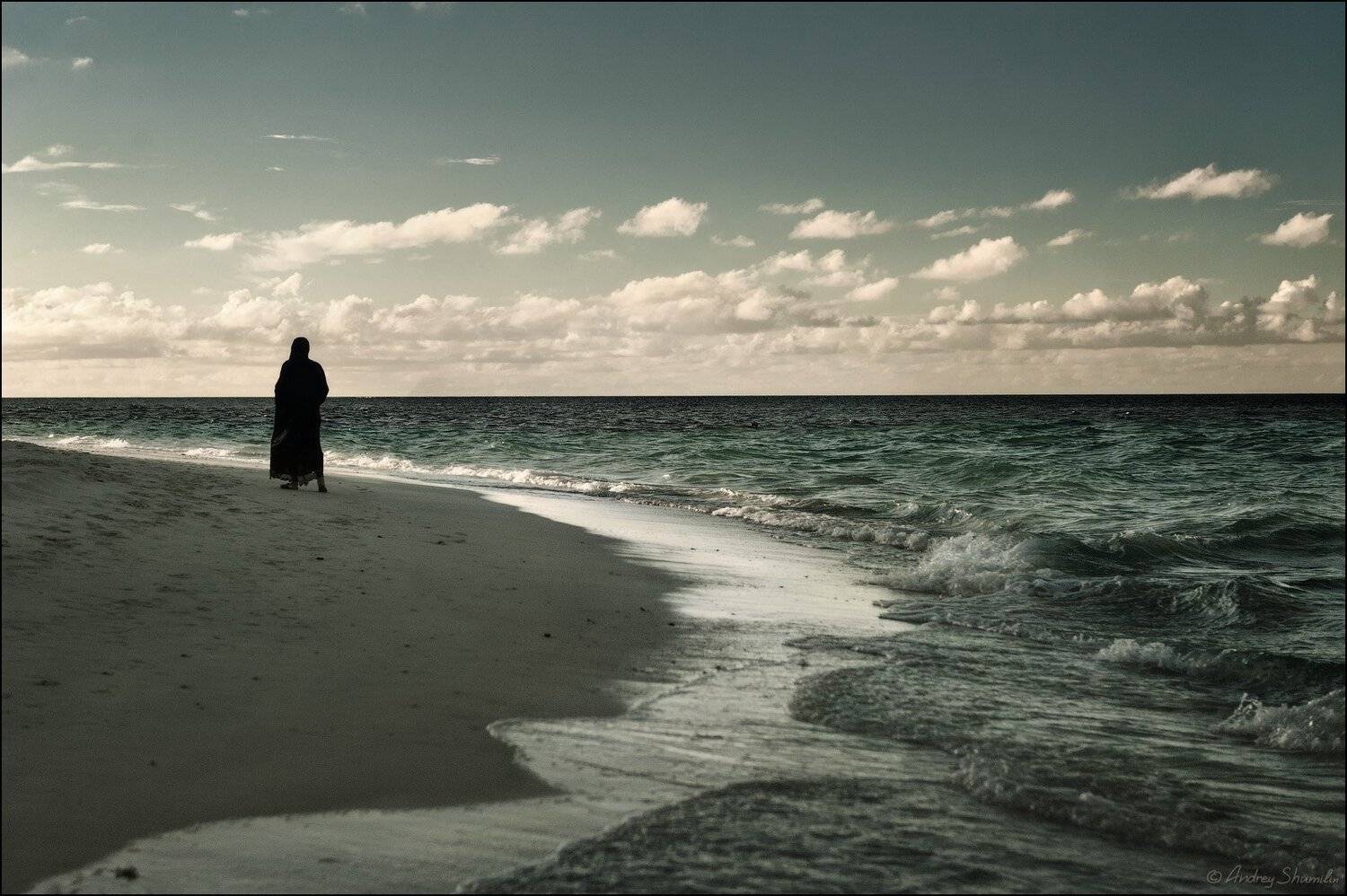 , Андрей Шумилин