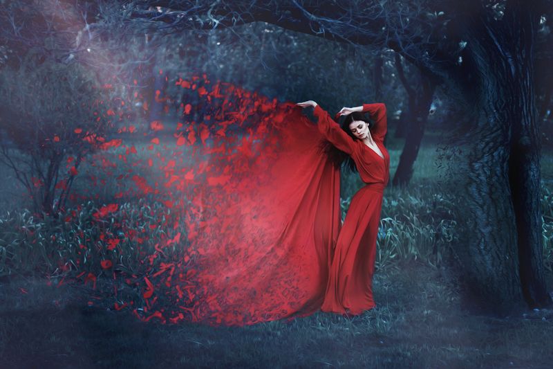 Стремление к свету фото превью