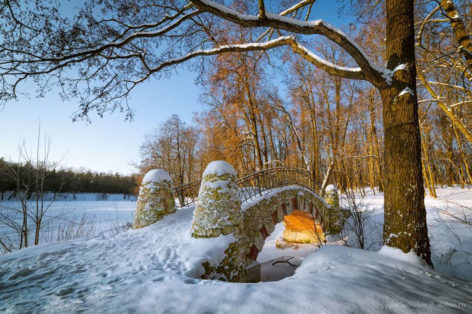 москва, зима, кузьминки, парк, мост, moscow, winter, kuzminki, park, bridge, Соболев Игорь