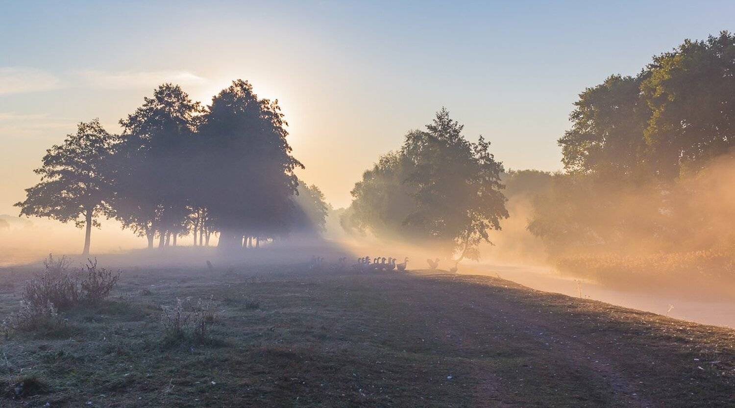 , Александр Подрез