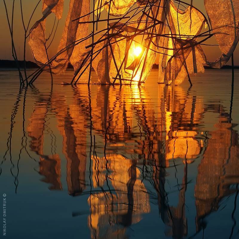 пейзаж, , природа, инсталляция, музыка, николай дмитрук