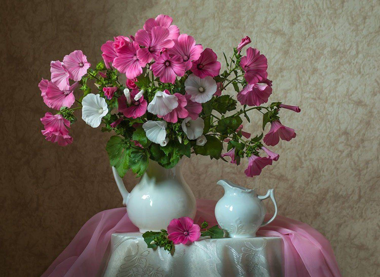 красивый натюрморт с розовыми лаватерами,цветы,художественное фото,искусство,творчество., Людмила Костюченко