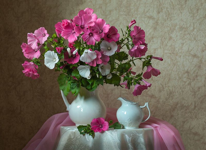 красивый натюрморт с розовыми лаватерами,цветы,художественное фото,искусство,творчество. Букет лаватеры. фото превью