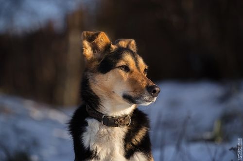 Местные жители села Суханово