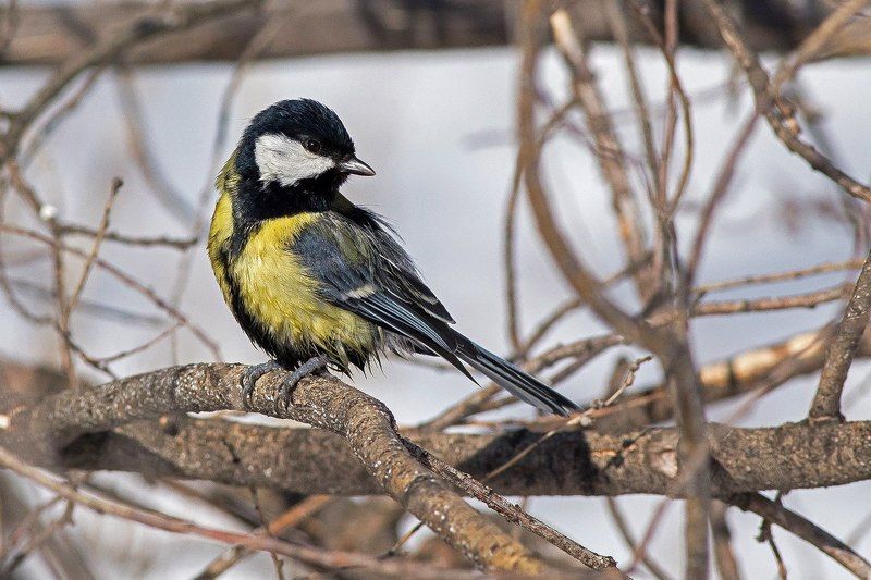 после водных процедур фото превью