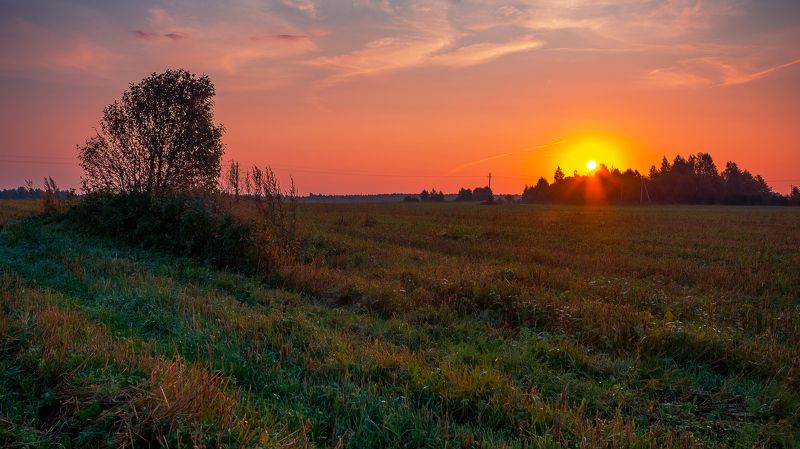 рассвет, поле, дерево, роса, солнце, небо, деревня Дыхание осеннего рассвета фото превью