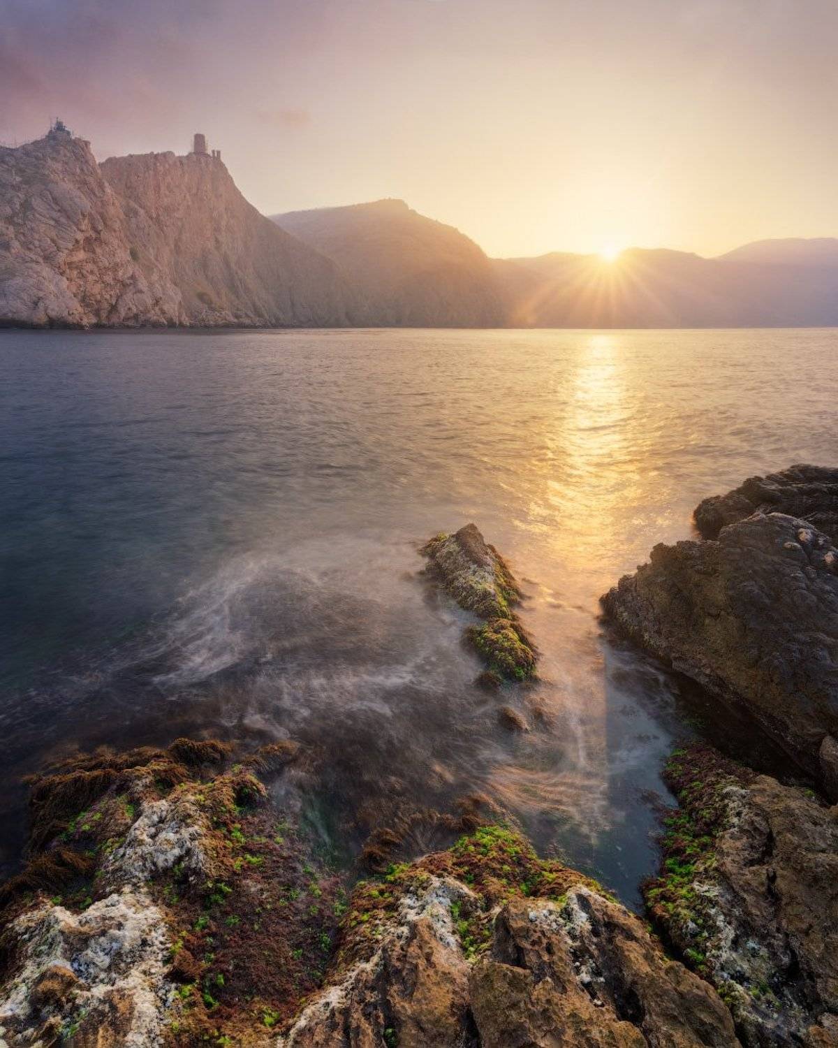 , Дмитрий Медянцев