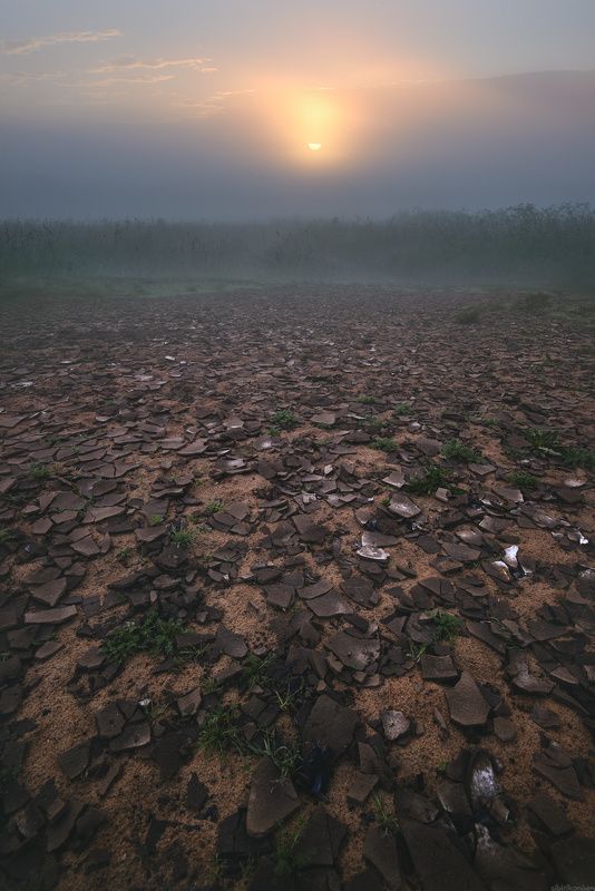 туман рассвет пейзаж шоколад  / Подмосковная пустошь 2 / фото превью