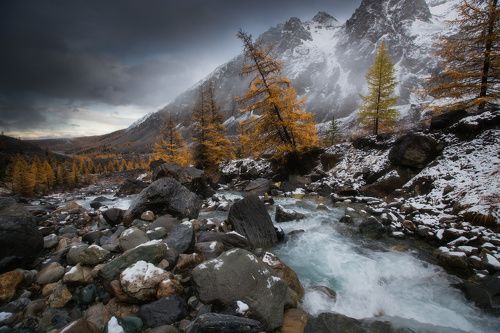 Из рассеявшегося тумана