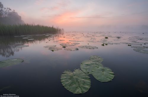 Тишь да гладь.