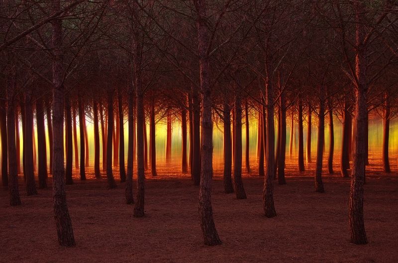 magic фото превью