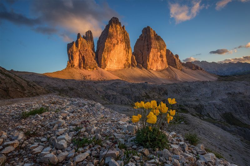 италия, доломиты, альпы, осень, italy, dolomites, tre cime di lavaredo, тре-чиме-ди-лаваредо Горные цветы. фото превью