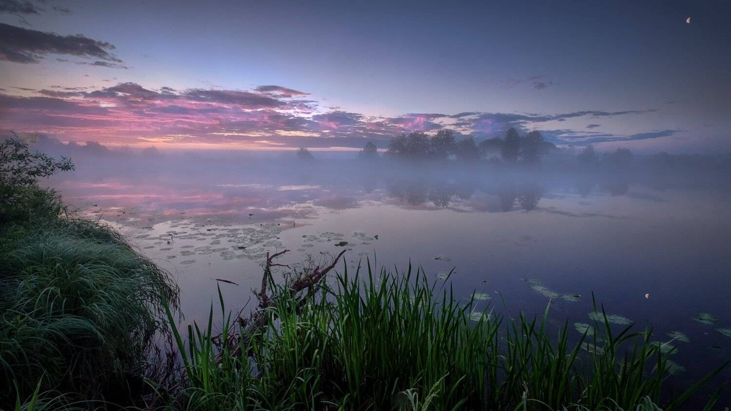 пейзаж, рассвет, утро, река, отражения, трава, дерево, небо, Андрей Чиж