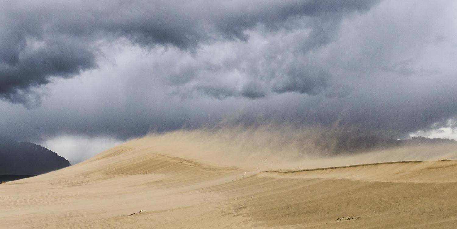 песчаная буря, Сергей Козлов