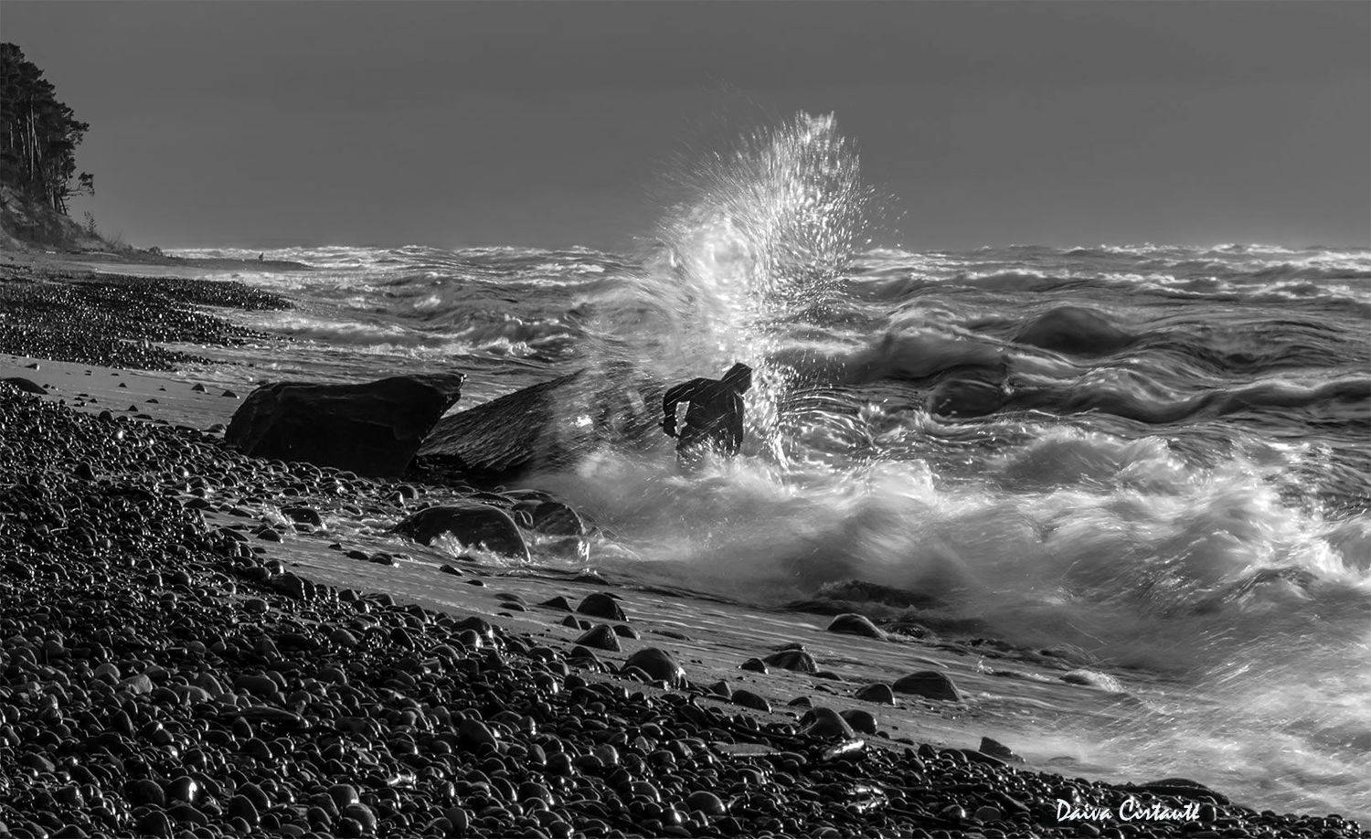 amber catcher,sea,stones,wb, Daiva Cirtautė