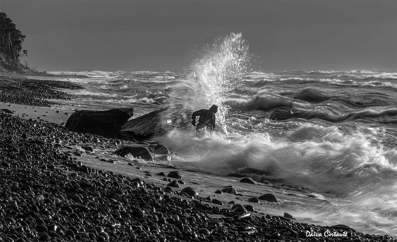 amber catcher,sea,stones,wb When the waves do not matter фото превью