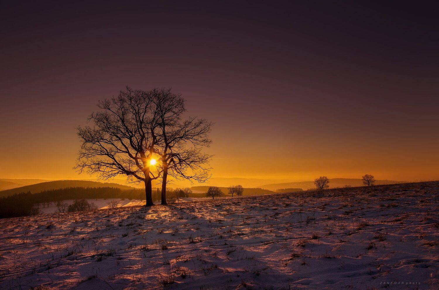закат,белые карпаты, дерево, солнце, зима, снег, пейзаж, пасьянс, одиночка, горы, zanfoar, чешская республика, nikon d7000, czech republic,чехия, Zanfoar