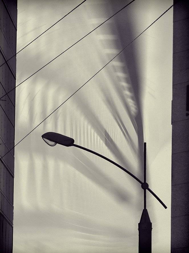 , T. Bondarenko