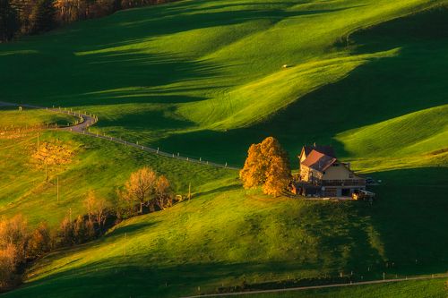 Дом на зеленых волнах