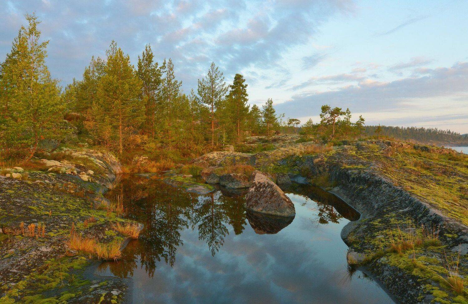 , Сергей Седов