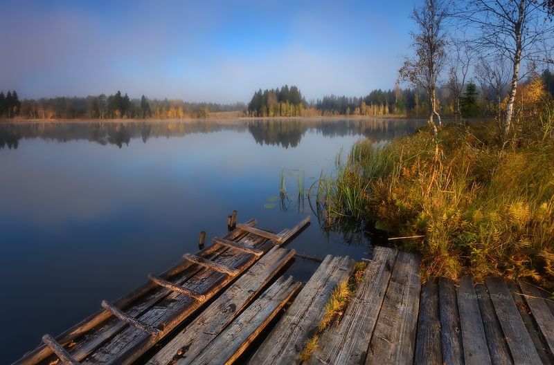 питер, болото, туман, рассвет, утро, осень Растаял утренний туман... фото превью