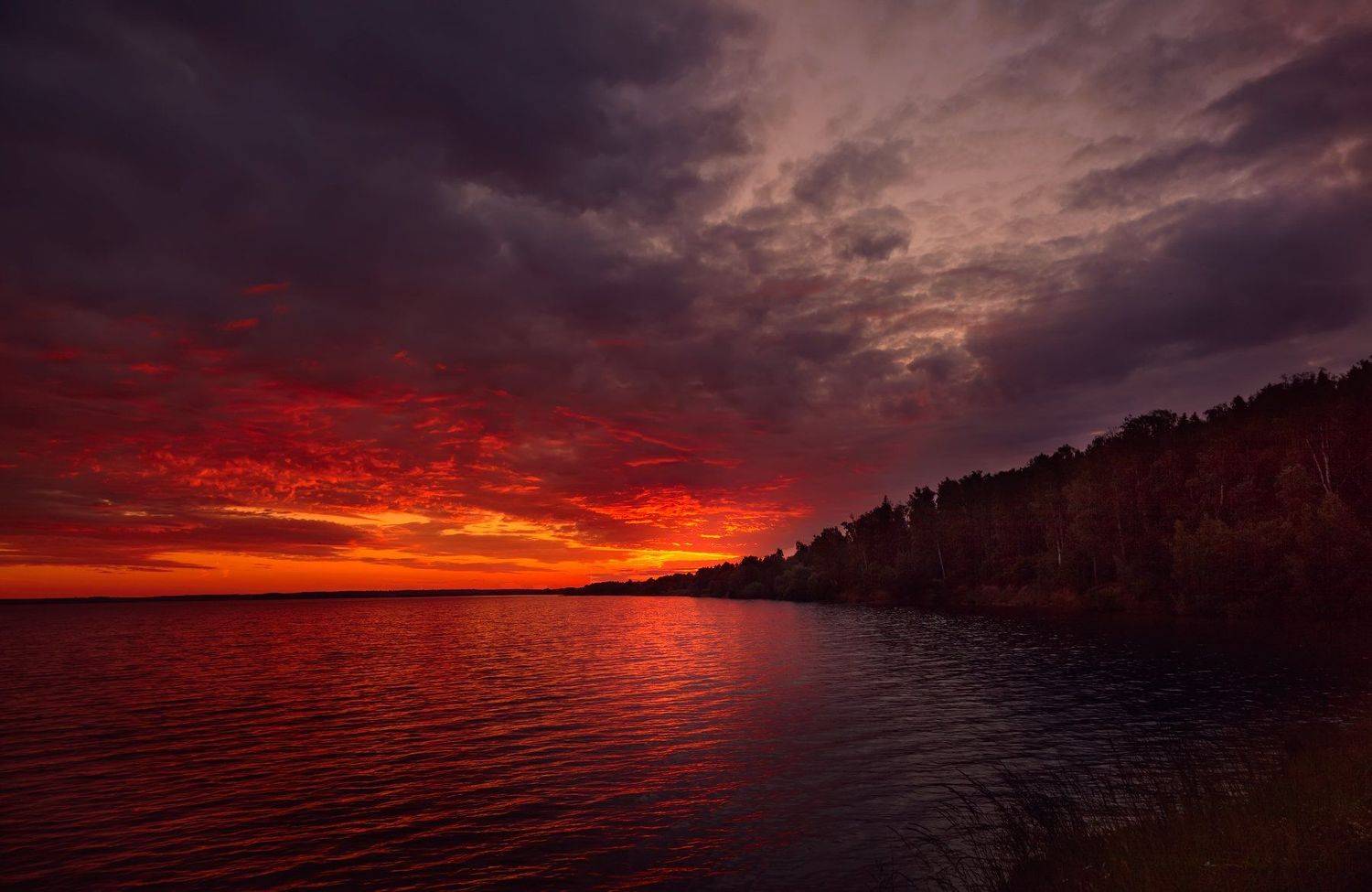 , Булатов Дмитрий