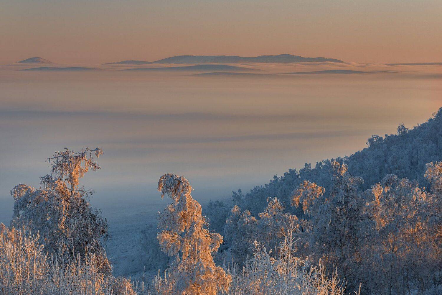хакасия, Александр Макеев