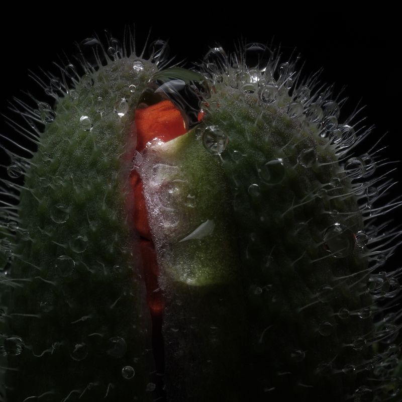 Рождение фото превью