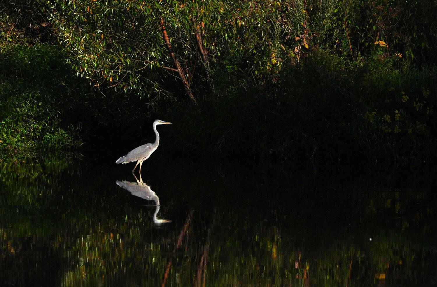 , Макеев Алексей