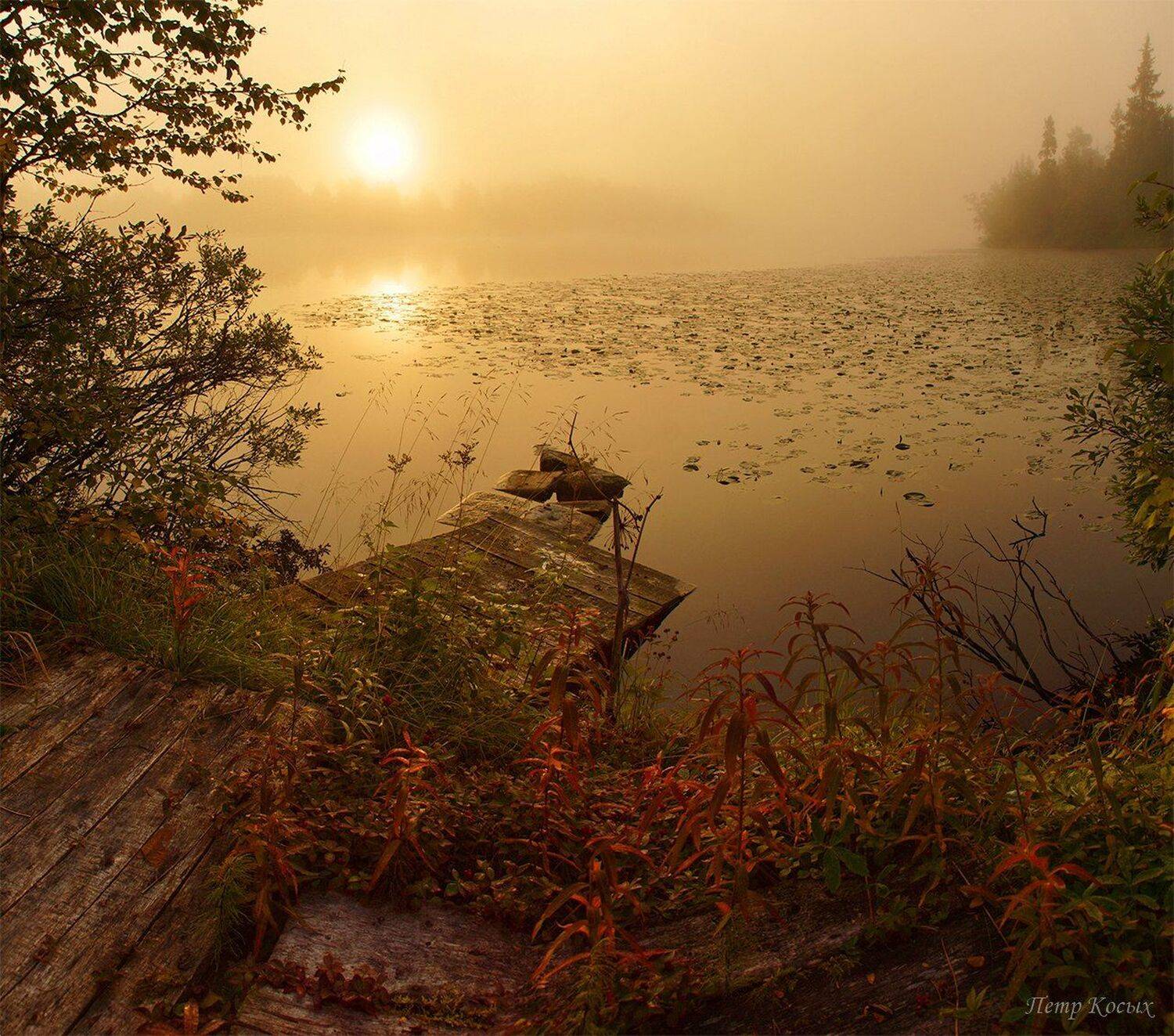 , Петр Косых