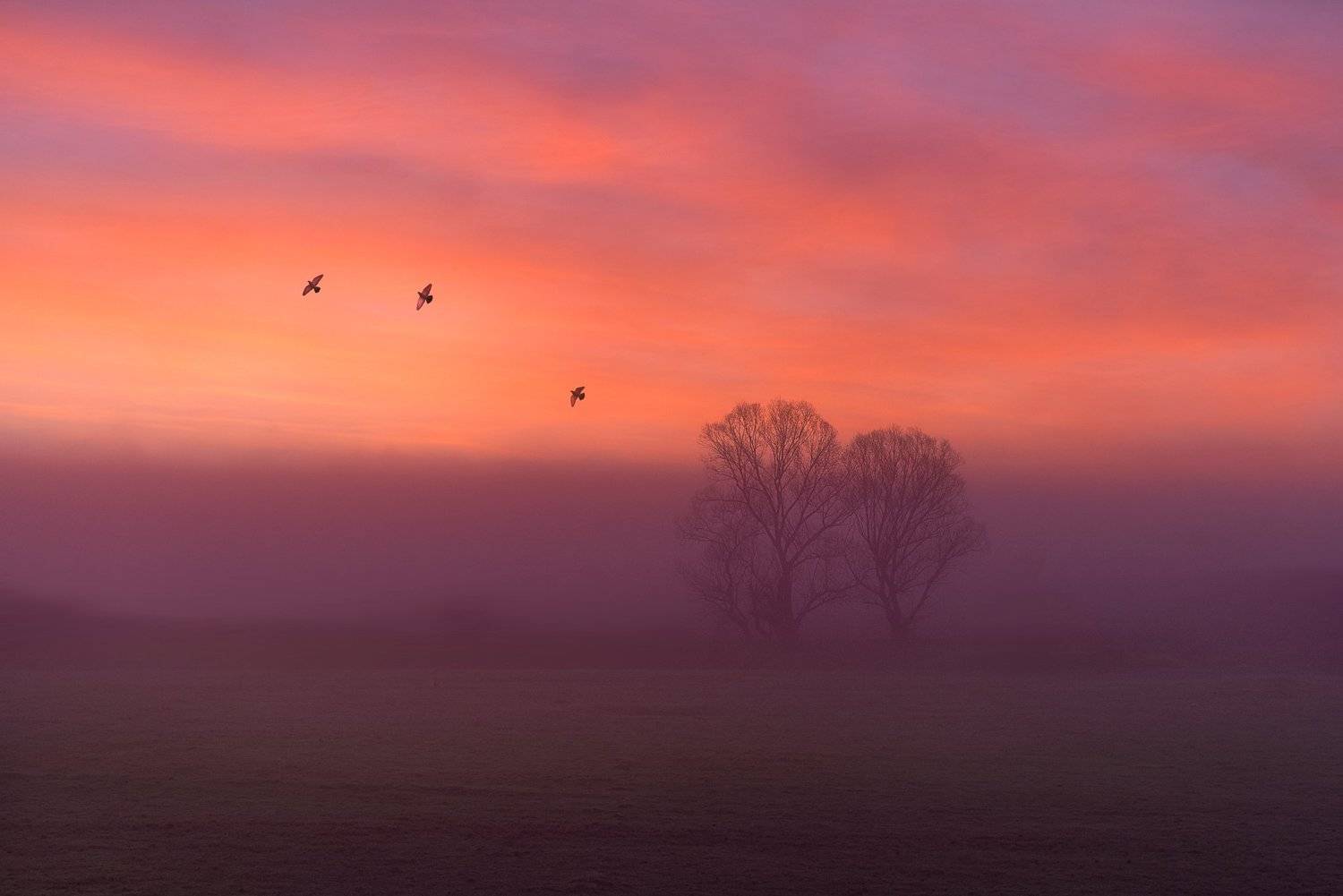 , Тодор Танев